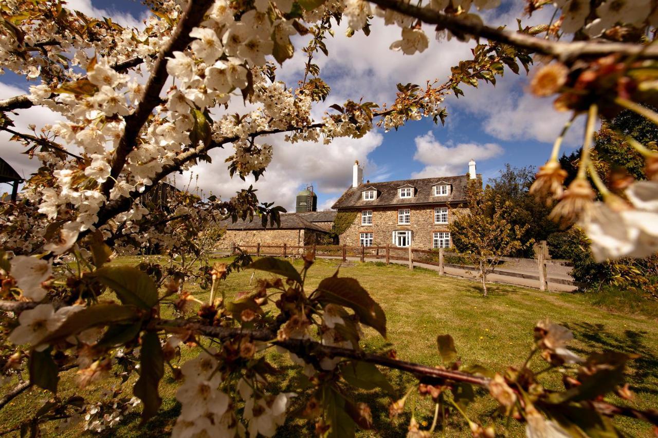 Anran At Tidwell Farm Bed and Breakfast Staverton  Eksteriør billede